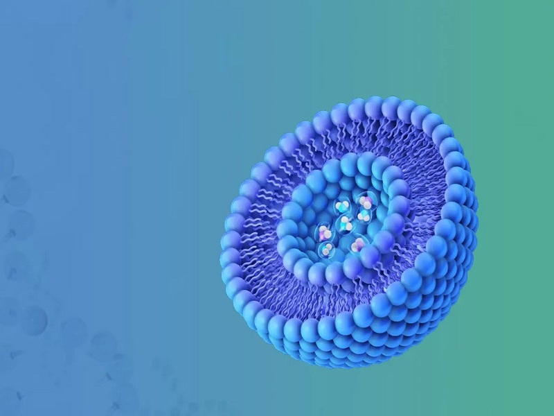 Топ 10 липосомальных производителей в Индии