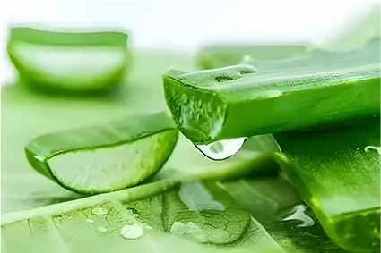 Введение Алоин