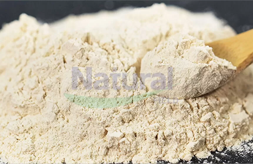 Почему выберите естественное поле как ваш поставщик порошка Creatina Liposomal?