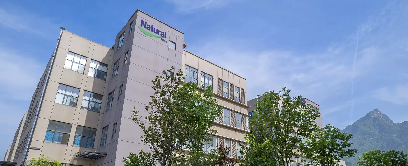 Профиль компании