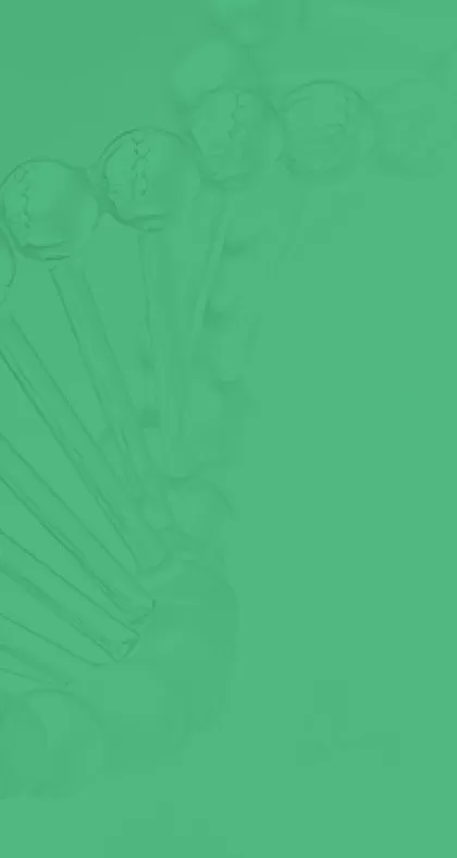 Культура компании