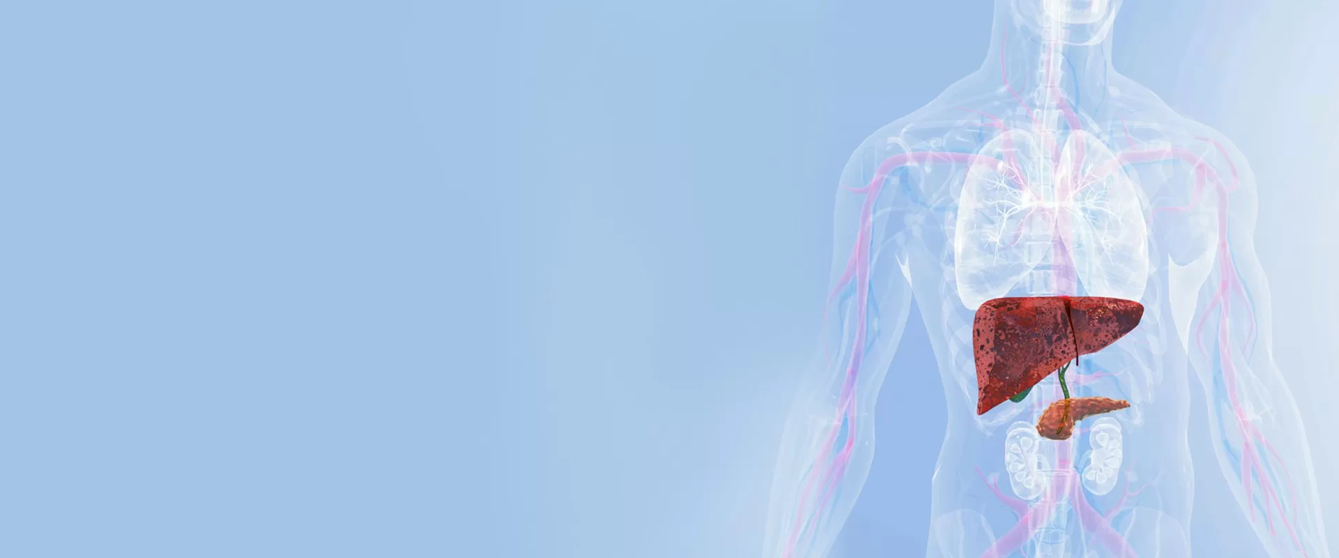 Защита печени