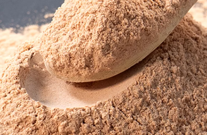 Особенности экстракта зеленого чая