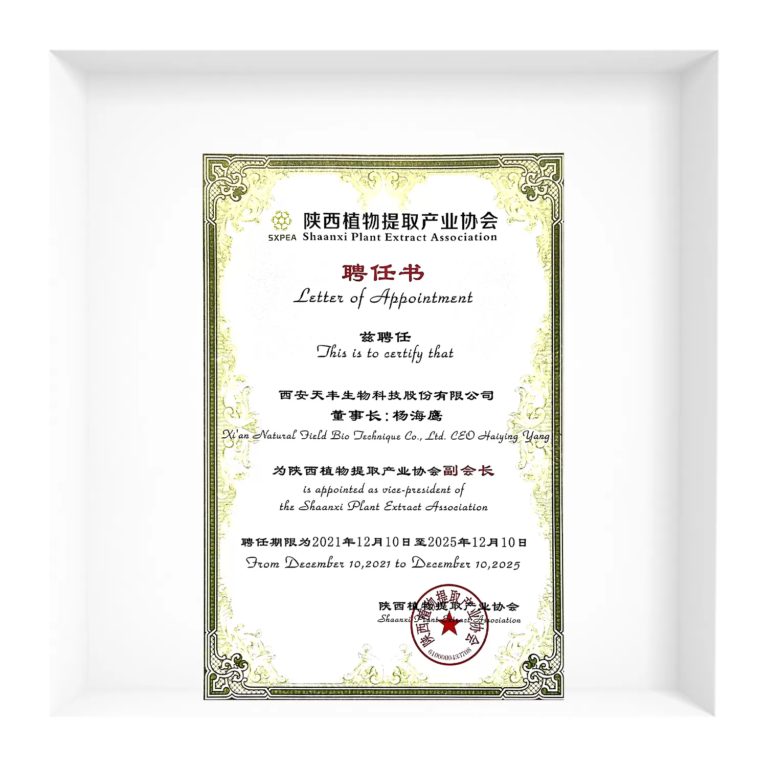 Letter of Appointment