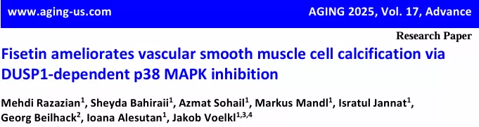 Fisetin: Beyond Anti-Aging, Discover Its Surprising Benefits! Fisetin: Beyond Anti-Aging, Discover Its Surprising Benefits!