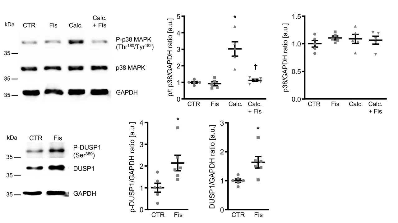 Experimental Design and Results Experimental Design and Results