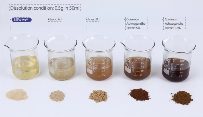 Ответ на национальный призыв: Сосредоточение внимания на здоровье человека!