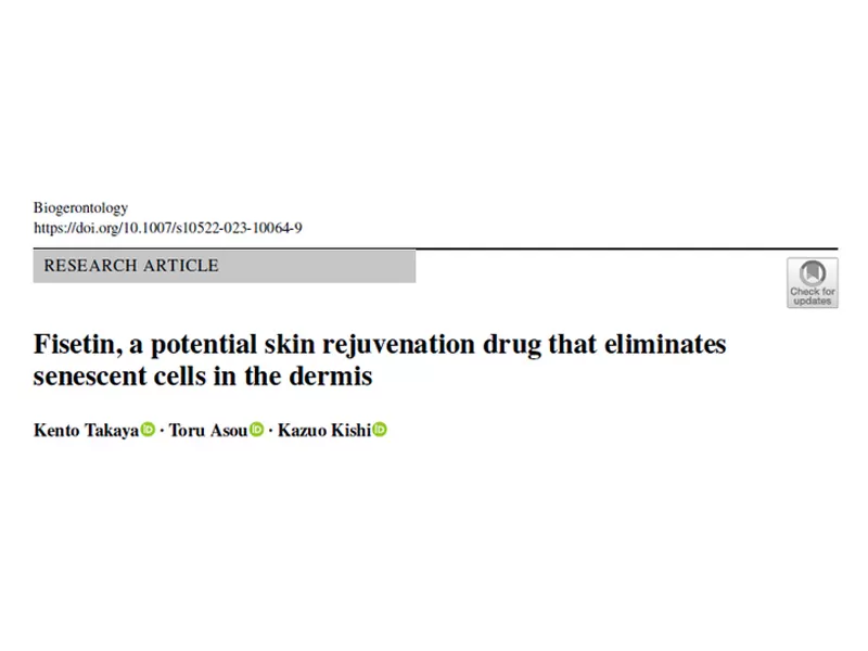 Физетин: целенаправленное устранение стареющих клеток в дермальном слое, открывая новые возможности для омолаживания кожи