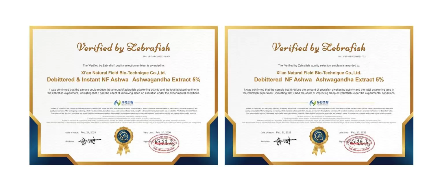 Сертификация