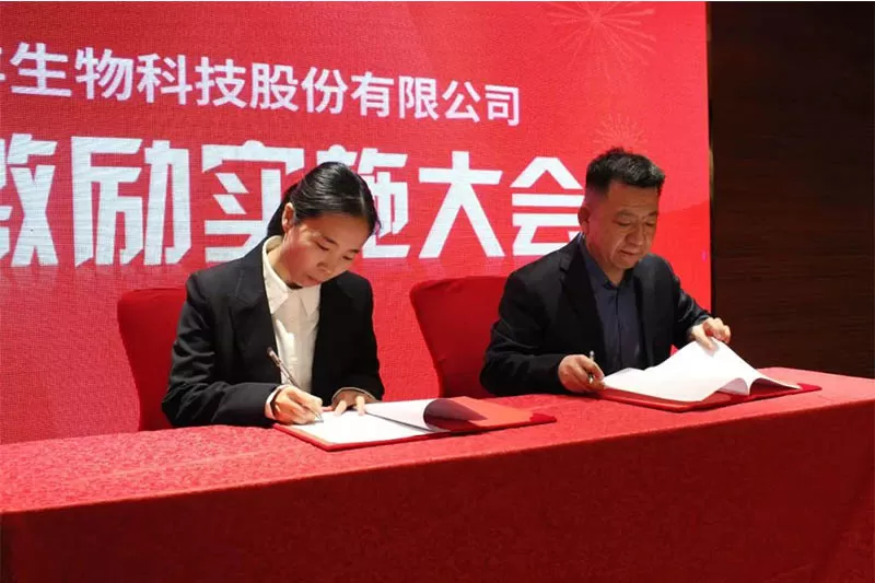 annual conference annual conference