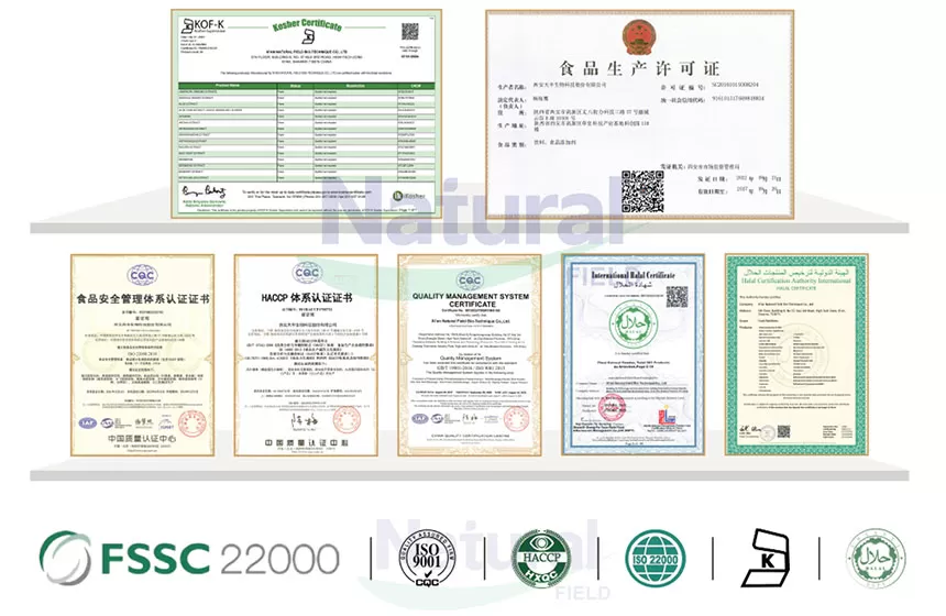 Почему выберите естественное поле как ваш поставщик порошка моногидрата креатина?