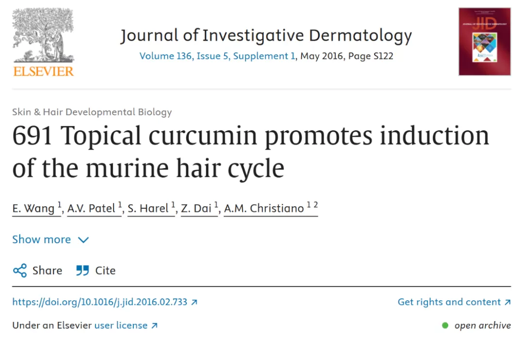 Curcumin: A Natural Powerhouse for Hair Loss Prevention and Holistic Health Curcumin: A Natural Powerhouse for Hair Loss Prevention and Holistic Health