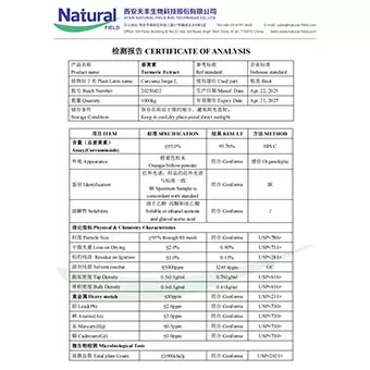 Экстракт куркумы 95%