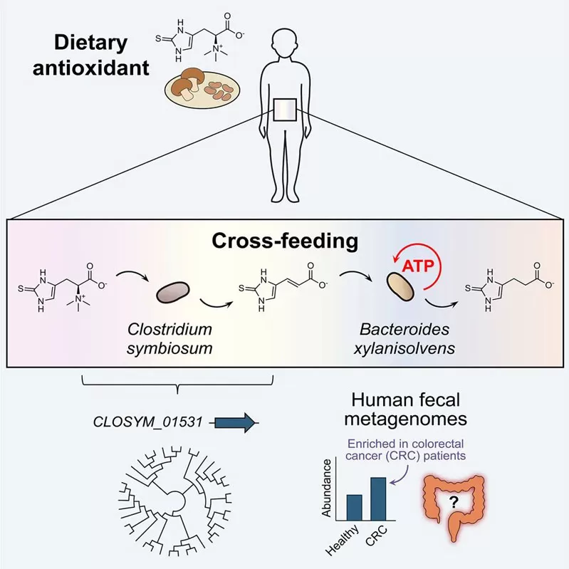 Key findings of the study