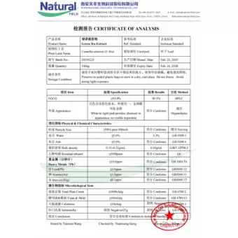 NF-COA Экстракт зеленого чая (EGCG)