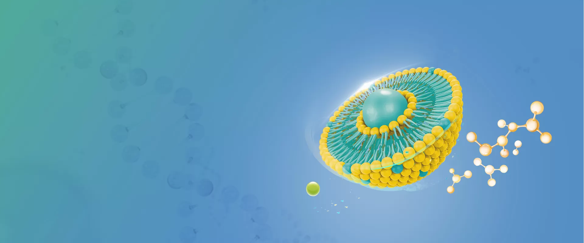 Липосомальные ингредиенты