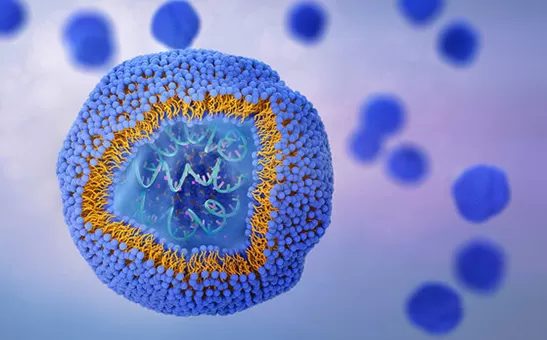 Топ 10 липосомальных производителей в Великобритании