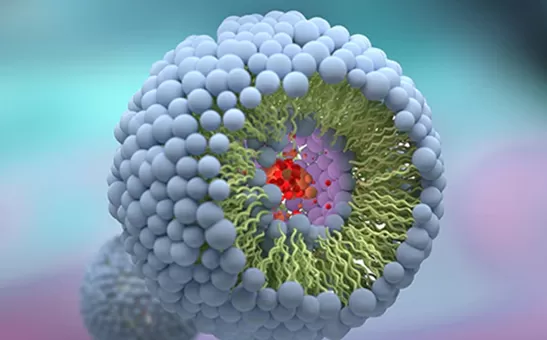 Топ 10 липосомальных производителей в США