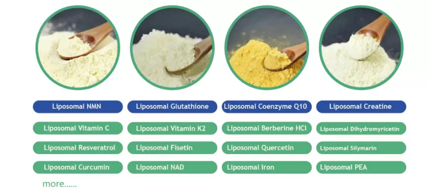 liposomal-nmn-key-advantages-for-formulators-and-raw-material-buyers-2.jpg