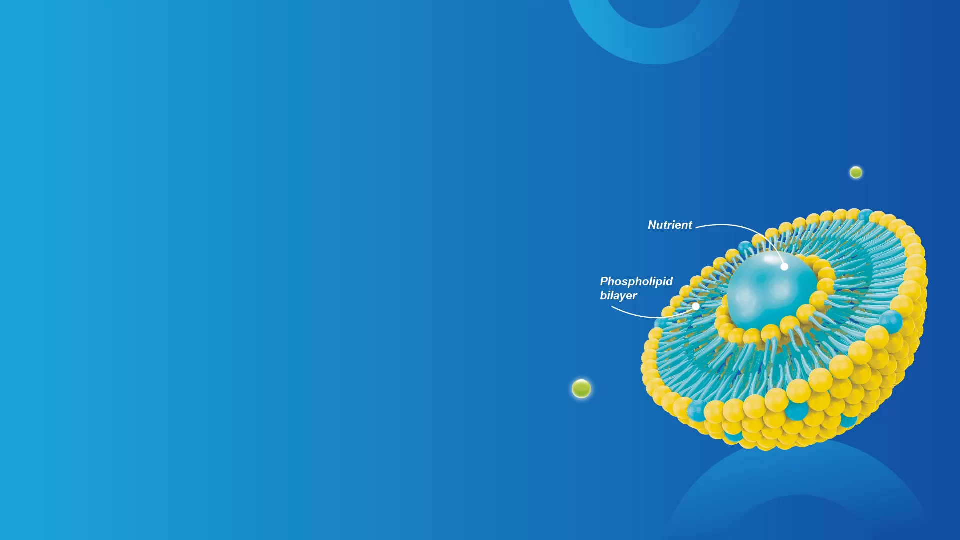 Липосомная технология