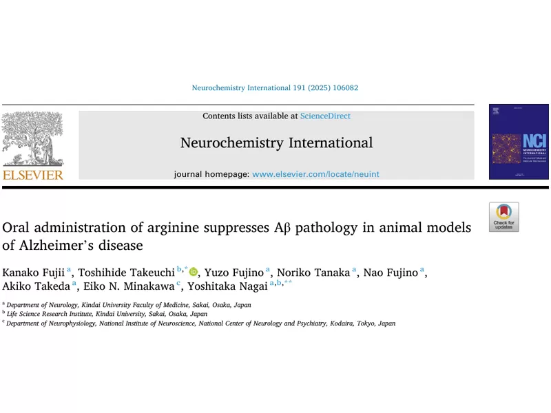 Ищете безопасный & Эффективный ингредиент здоровья мозга? Аргинин: научно-подложный, экономичный, решение ваших основных болей в продукте!