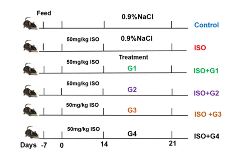 Significant Cardioprotective Efficacy