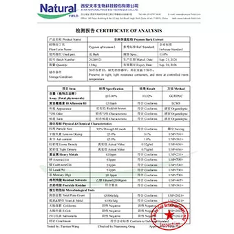 Экстракт коры пигеума