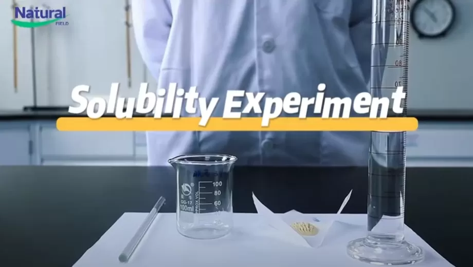 Эксперимент по растворимости порошка экстракта Ашва Ашваганда НФ