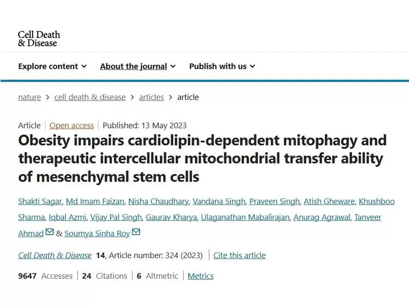 Битва против старения: Как PQQ омолаживает клеточную молодость