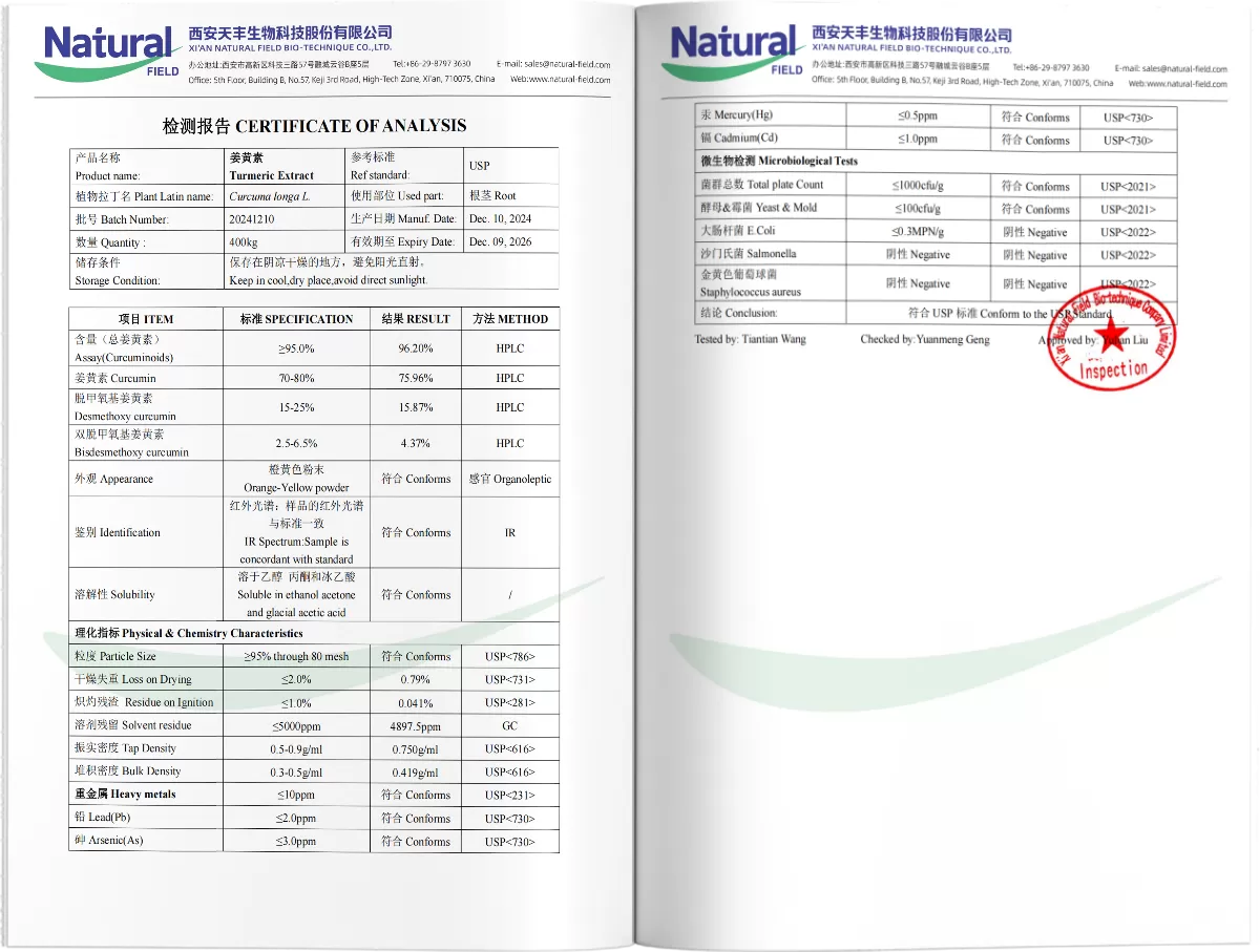 Куркума Куркумин экстракт PDF