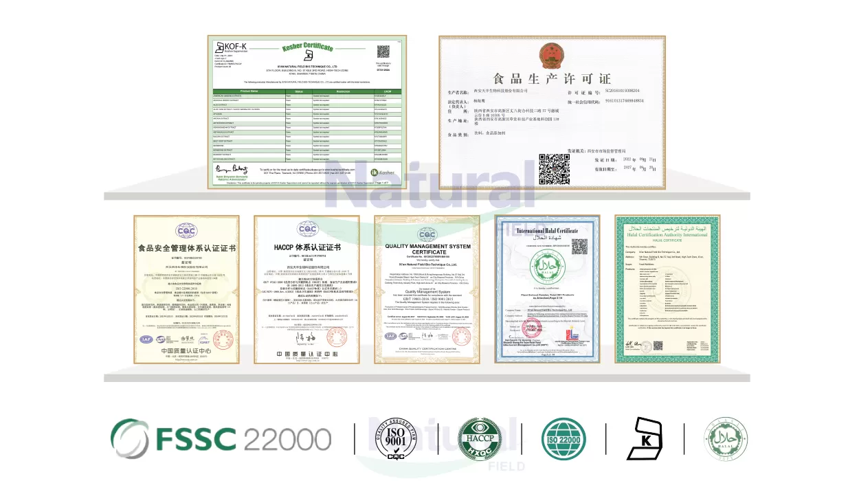 Почему Choos нас как ваш доверенный Куркума Лонга Экстракт Поставщик?